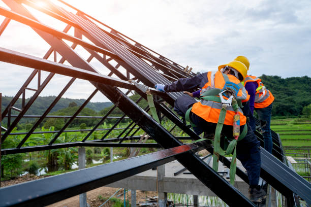 Best Roof Gutter Cleaning  in Roanoke, AL