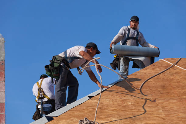 Best Residential Roof Replacement  in Roanoke, AL