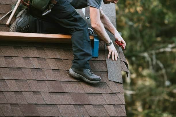 Best Roof Gutter Cleaning  in Roanoke, AL